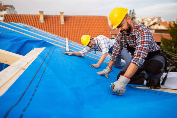 Best Gutter Installation and Roofing  in Huntington, TX