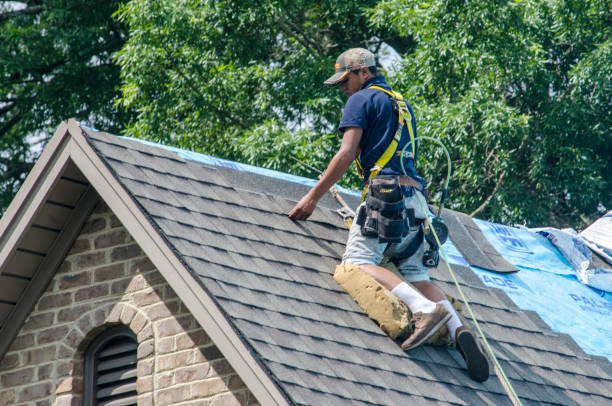 Best Roof Gutter Cleaning  in Huntington, TX